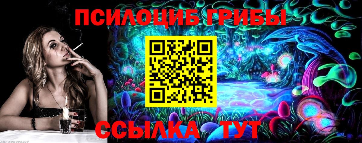Галлюциногенные грибы MAGIC MUSHROOMS  Вход с VPN  Норильск 